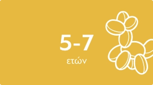 παιδικά παιχνίδια 5-7 ετών