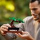 Εικόνα της LEGO Creator Expert: Μπονσάι 10281