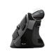 Εικόνα της Ποντίκι Trust Voxx Rechargeable Ergonomic Wireless 23731