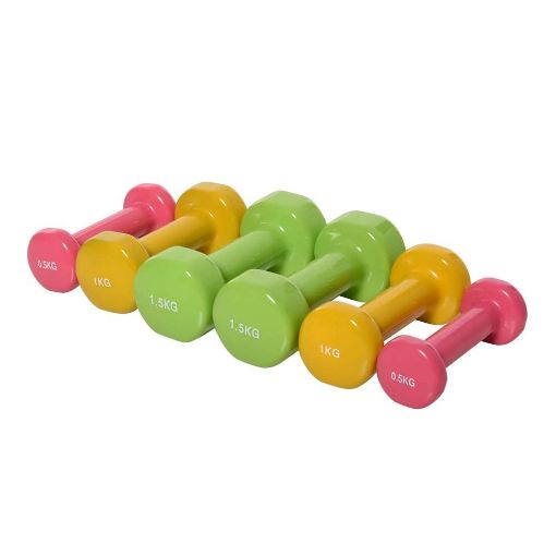 Εικόνα της HomCom - Σετ Βαράκια με Βαλίτσα 0.5kg 1kg 1.5kg A91-144