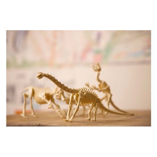 Εικόνα της 4M Toys - Ανασκαφή Σκελετού Δεινόσαυρου, Βραχιόσαυρος 4M0008