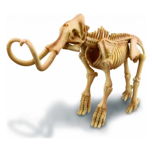 Εικόνα της 4M Toys - Ανασκαφή Σκελετού Δεινόσαυρου, Μαμούθ 4M0021
