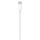 Εικόνα της Καλώδιο Apple USB-C White 2.0m MLL82ZM/A
