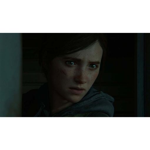 Εικόνα της The Last of Us Part II PS4