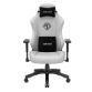 Εικόνα της Gaming Chair Anda Seat Phantom III Large Linen Fabric Ash Gray AD18Y-06-G-F