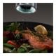 Εικόνα της Russell Hobbs Classics Salt & Pepper Grinders Silver 23460-56