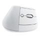 Εικόνα της Ποντίκι Logitech Lift Vertical Ergo Off White 910-006475