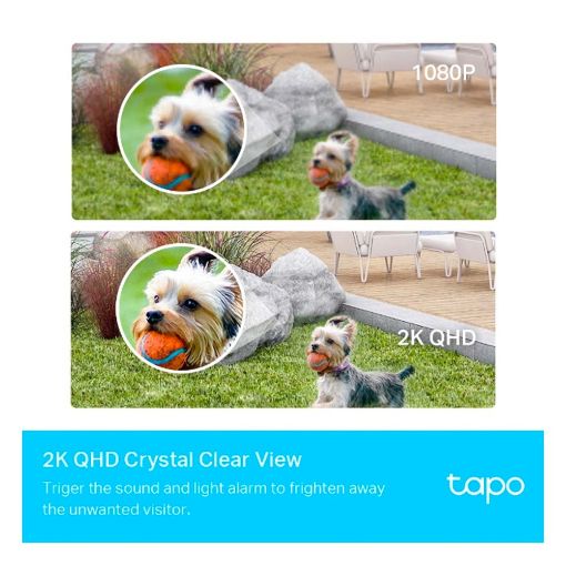 Εικόνα της Tp-Link Tapo C420S2 WiFi 2-Camera System