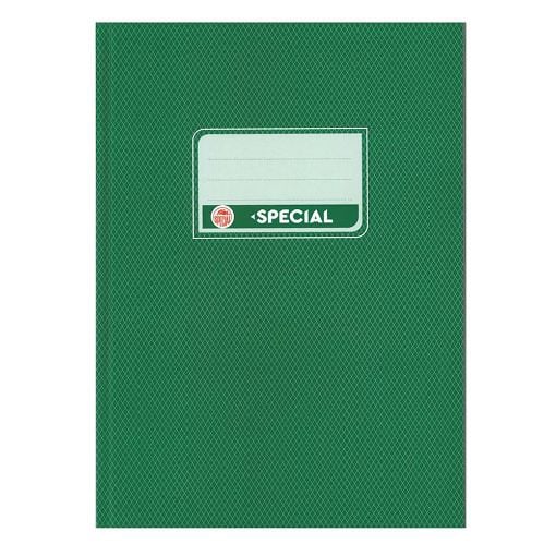 Εικόνα της Typotrust - Τετράδιο Special Εξήγηση Βιβλιοδετημένη Ριγέ B5 80φύλλο Πράσινο 4143