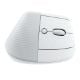 Εικόνα της Ποντίκι Logitech Lift Vertical Ergo Wireless for Mac White/Grey 910-006477