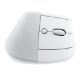 Εικόνα της Ποντίκι Logitech Lift Vertical Ergo Wireless for Mac White/Grey 910-006477