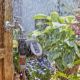 Εικόνα της Προγραμματιστής Ποτίσματος Gardena Water Control Flex με Μπαταρία 1 Εξόδου 01890-20