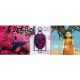 Εικόνα της Clementoni - Puzzle Panorama Squid Game 1000pcs 1220-39694