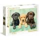 Εικόνα της Clementoni - Puzzle High Quality Collection Κουταβάκια Λαμπραντόρ 1000pcs 1220-39279