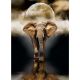 Εικόνα της Clementoni - Puzzle High Quality Collection Ο Ελέφαντας 1000pcs 1220-39416