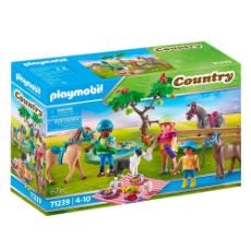 Εικόνα της Playmobil Country - Πικ Νικ στην Εξοχή 71239