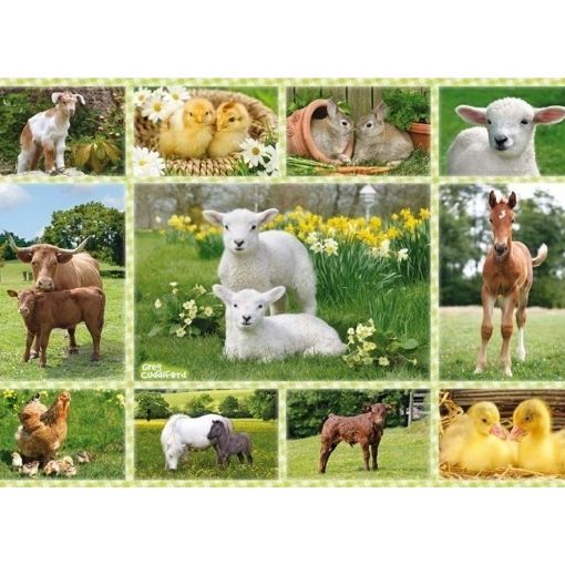 Εικόνα της Schmidt Spiele - Παιδικό Puzzle Ζωάκια της Φάρμας 100pcs 56194