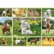 Εικόνα της Schmidt Spiele - Παιδικό Puzzle Ζωάκια της Φάρμας 100pcs 56194