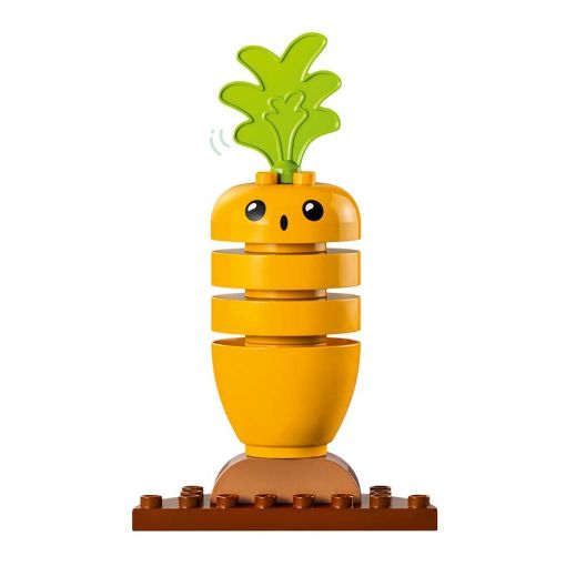Εικόνα της LEGO Duplo: Organic Garden 10984