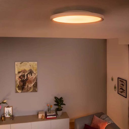 Εικόνα της Φωτιστικό Οροφής Philips Hue Aurelle Dimmer Switch 2200K - 6500K 700lm White 929003099301