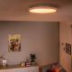 Εικόνα της Φωτιστικό Οροφής Philips Hue Aurelle Dimmer Switch 2200K - 6500K 700lm White 929003099301