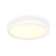 Εικόνα της Φωτιστικό Οροφής Philips Hue Aurelle Dimmer Switch 2200K - 6500K 700lm White 929003099301