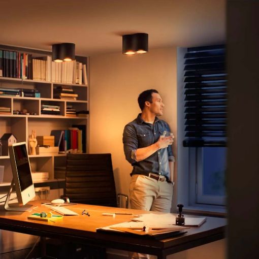 Εικόνα της Διπλό Φωτιστικό Σποτ Philips Hue Pillar Dimmer Switch 2200K - 6500K 700lm Black 929003046401