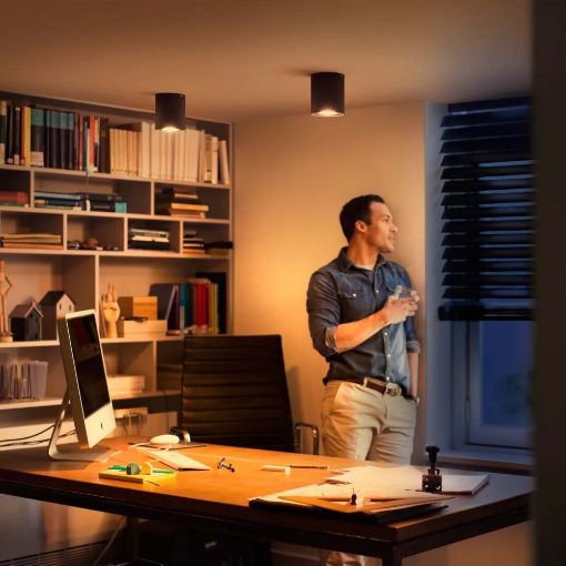 Εικόνα της Φωτιστικό Σποτ Philips Hue Pillar Dimmer Switch 2200K - 6500K 700lm Black 929003046501