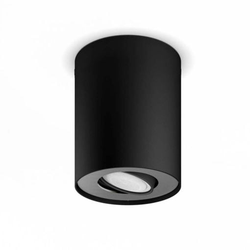 Εικόνα της Φωτιστικό Σποτ Philips Hue Pillar Dimmer Switch 2200K - 6500K 700lm Black 929003046501
