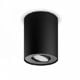 Εικόνα της Φωτιστικό Σποτ Philips Hue Pillar Dimmer Switch 2200K - 6500K 700lm Black 929003046501