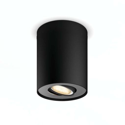 Εικόνα της Φωτιστικό Σποτ Philips Hue Pillar Dimmer Switch 2200K - 6500K 700lm Black 929003046501