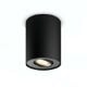 Εικόνα της Φωτιστικό Σποτ Philips Hue Pillar Dimmer Switch 2200K - 6500K 700lm Black 929003046501