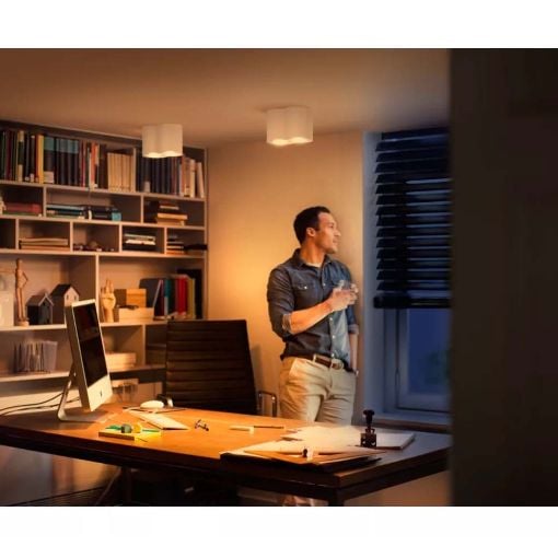 Εικόνα της Διπλό Φωτιστικό Σποτ Philips Hue Pillar Dimmer Switch 2200K - 6500K 700lm White 929003046601