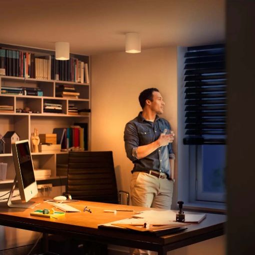 Εικόνα της Φωτιστικό Σποτ Philips Hue Pillar Dimmer Switch 2200K - 6500K 700lm White 929003046701