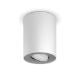 Εικόνα της Φωτιστικό Σποτ Philips Hue Pillar Dimmer Switch 2200K - 6500K 700lm White 929003046701