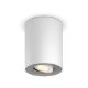 Εικόνα της Φωτιστικό Σποτ Philips Hue Pillar Dimmer Switch 2200K - 6500K 700lm White 929003046701