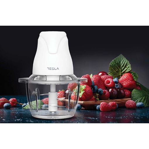 Εικόνα της Πολυκόφτης Tesla FC302W 1Lt 400W White