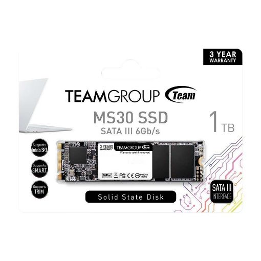 Εικόνα της Δίσκος SSD TeamGroup MS30 1TB M.2 2280 TM8PS7001T0C101