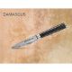 Εικόνα της Μαχαίρι Ξεφλουδίσματος Damascus - Samura 8.7cm SD-0010