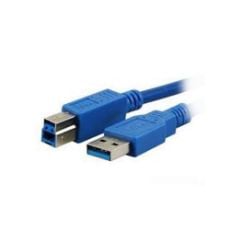 Εικόνα της Καλώδιο MediaRange USB 3.0 AM/BM 1.8m Blue MRCS144