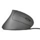 Εικόνα της Ποντίκι Trust Verto Ergonomic 22885