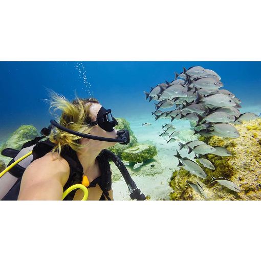 Εικόνα της GoPro Blue Water Dive Filter for Super Suit AAHDR-001