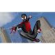 Εικόνα της Marvel`s Spider-Man: Miles Morales PS4