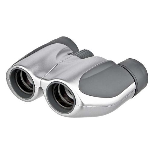 Εικόνα της Κιάλια Olympus 10x21 DPC I Silver