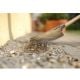 Εικόνα της Τσουγκράνα Prosperplast Focus Rake Green IGR2-G642