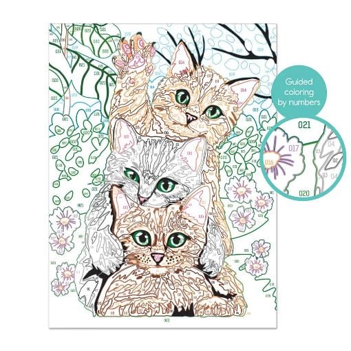 Εικόνα της AS Company - Paint & Frame Ζωγραφίζω με Αριθμούς, Funny Kitties 1038-41010
