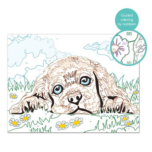 Εικόνα της AS Company - Paint & Frame Ζωγραφίζω με Αριθμούς, Loving Puppy 1038-41012
