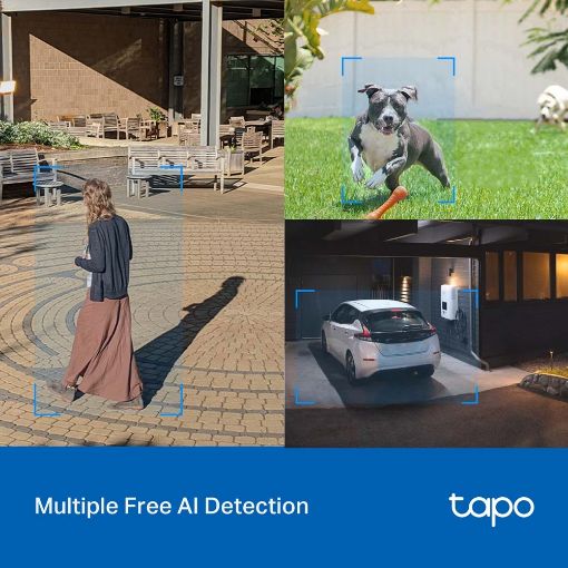 Εικόνα της Outdoor Wireless Security IP Camera TP-Link Tapo C520WS 2K Starlight Pan/Tilt