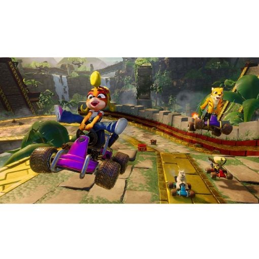 Εικόνα της Crash Team Racing: Nitro Fueled (PS4)