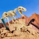 Εικόνα της Science Can - Εκπαιδευτικό Σετ Ανασκαφής Απολιθωμάτων Δεινοσαύρων, Mesozoic Super 460088